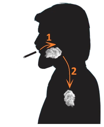 Fumer le cigare est-il moins dangereux que la cigarette ?